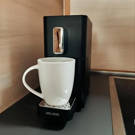 公寓 Central-city Penthouse 伯尔尼