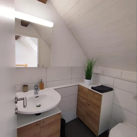 Cozy Penthouse In Bern Center